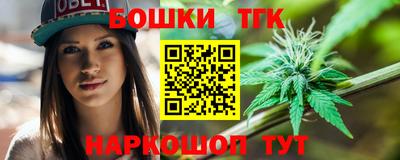 винт Дубна