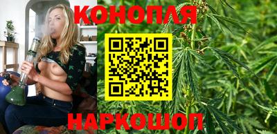 винт Дубна