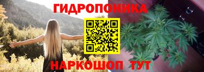 винт Дубна